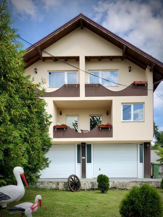 Casa Paunescu Milostea Экстерьер фото