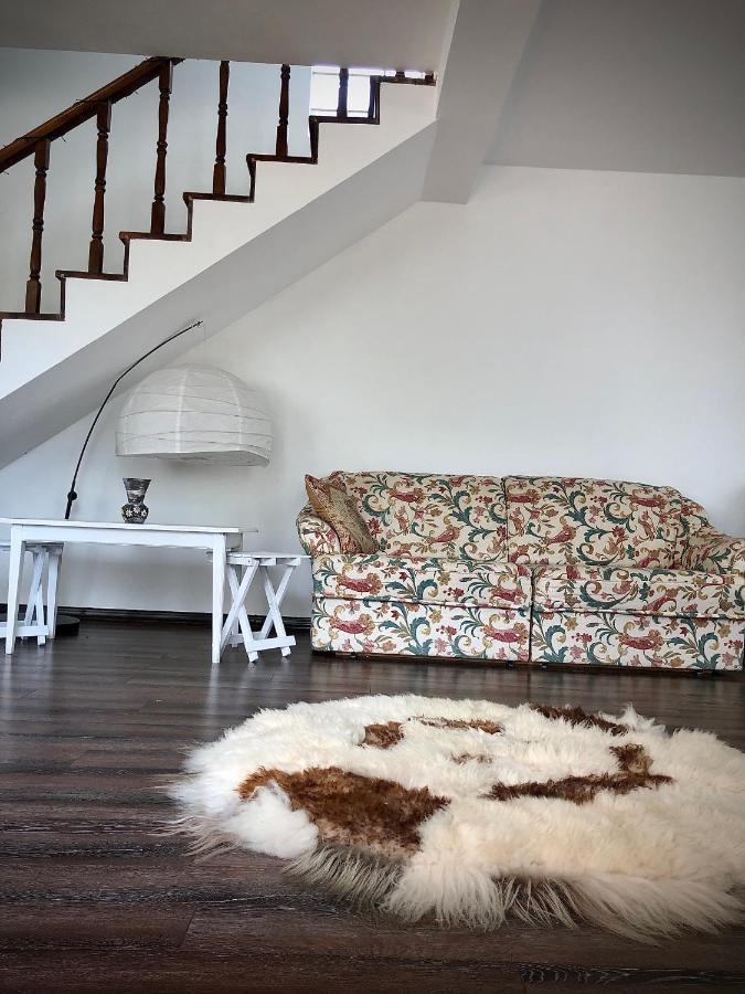 Casa Paunescu Milostea Экстерьер фото